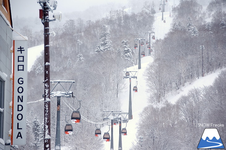 キロロリゾート 児玉毅の『雪山の達人』に密着！